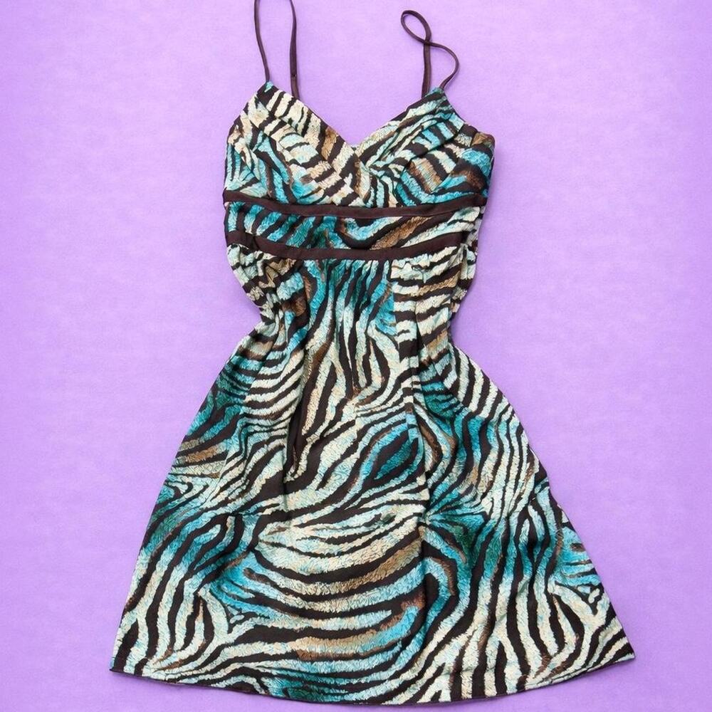 Blue and brown zebra print dress